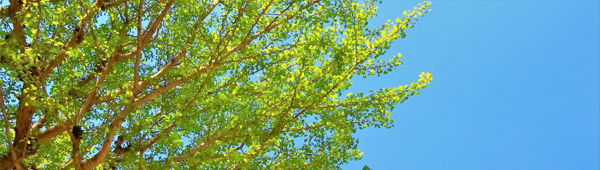 七十七パートナーズとは - 七十七パートナーズ株式会社｜ファンドによる事業承継支援 地域の持続的な発展を支える