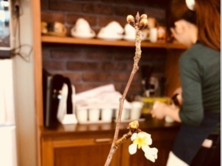 かふぇ やまぼうし みんなの家 宮城の介護 障がい 保育 0歳から100歳まで みんなが笑顔の福祉の街