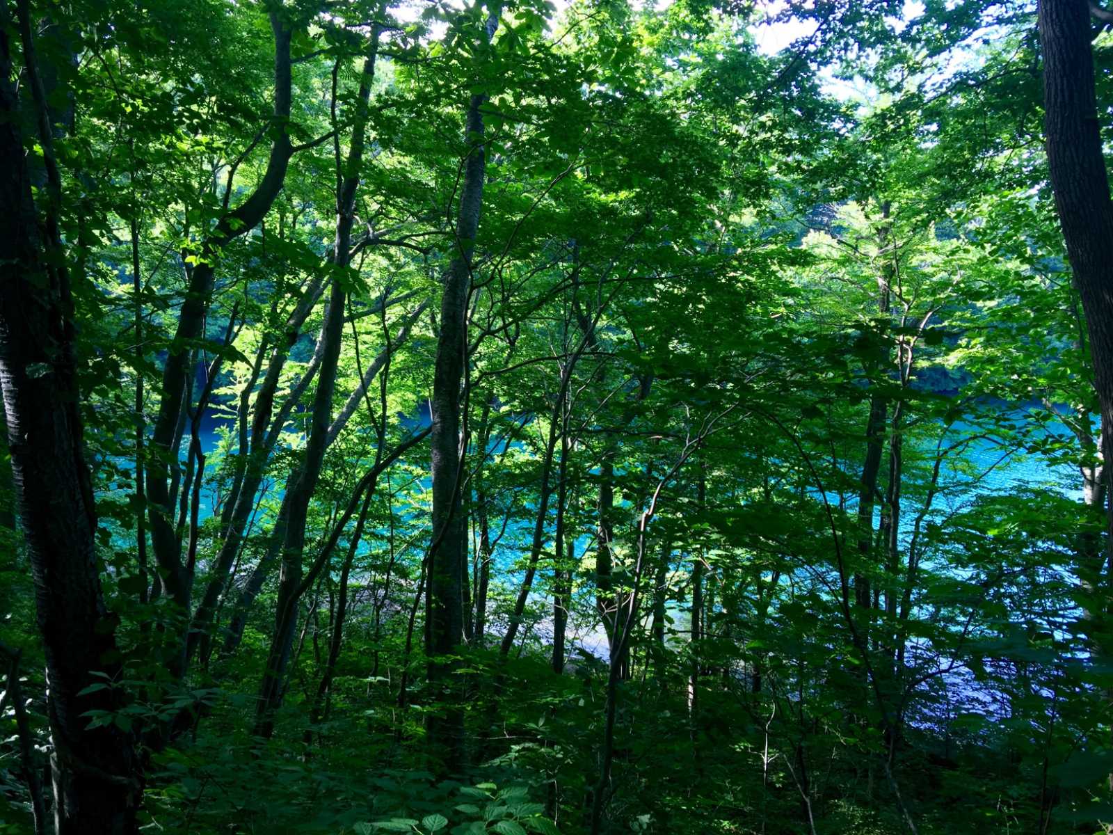 除菌脱臭剤ジアマックス販売 - 県南環境保全センター(株)｜浄化槽の