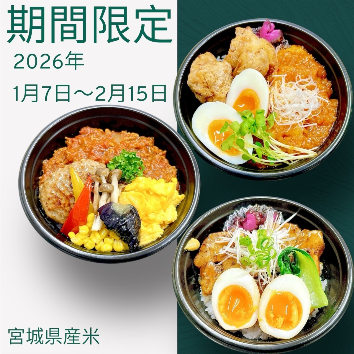 【‼️本日限定価格‼️】象彦/丼ぶり 丼ぶりメニュー第二弾 - 鈴忠｜宮城県塩釜市のお弁当・オードブル・仕出し