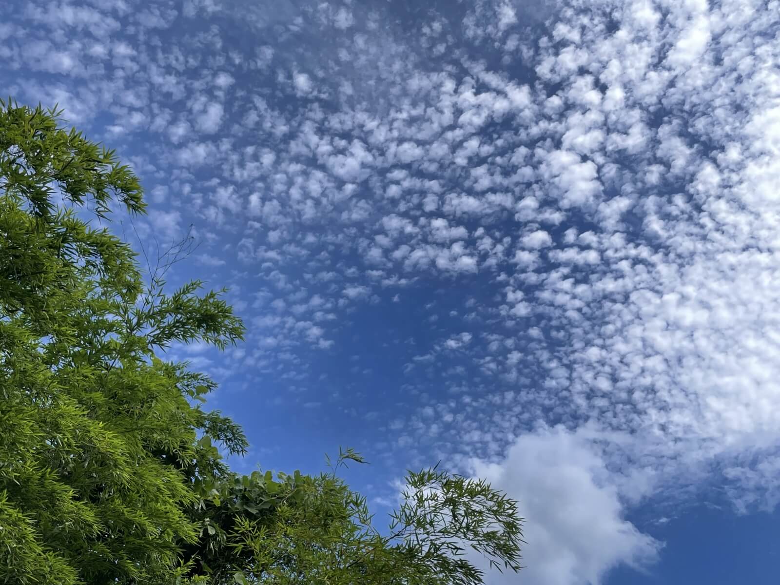 私たちの使命 - クリーン環境開発 | 青森県十和田市 | 産業廃棄