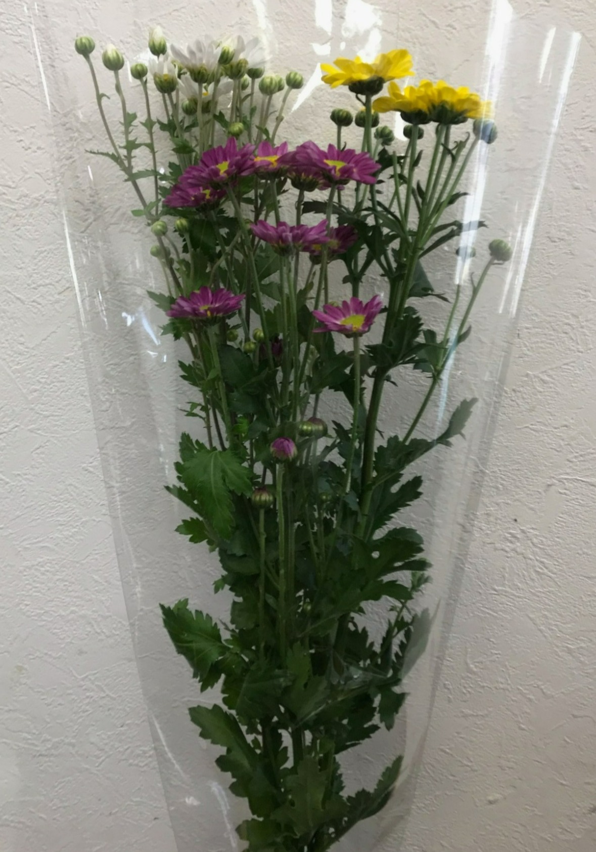 お花のリンデン 春のお彼岸仏花ご予約受付中 - 【公式】菩提樹（ぼだい