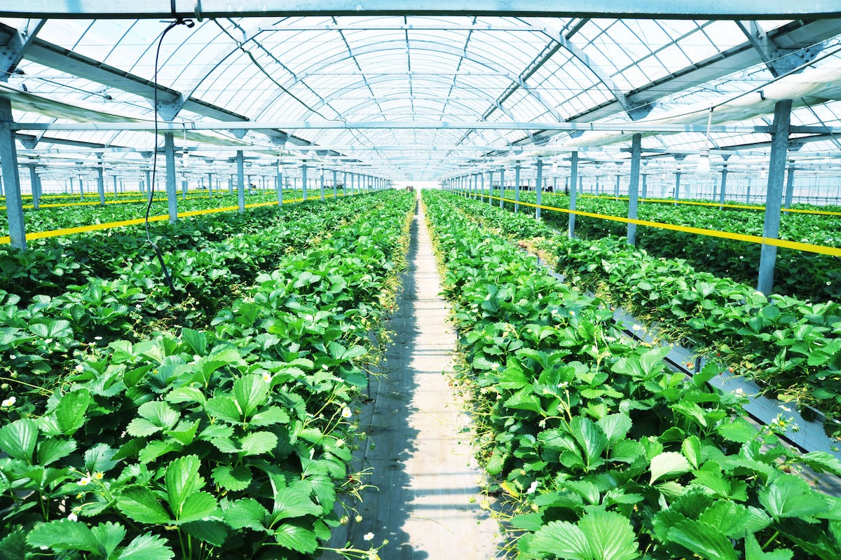 店舗紹介 - 株式会社ベリープラネット｜仙台市若林区にある老舗の