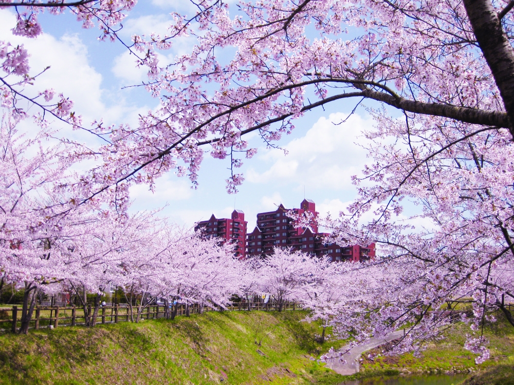 アクセス ORINAS 錦ケ丘 仙台市青葉区 ヒト・モノ・コトが錦織物のように、いくつもの輝きを放つ場所へ