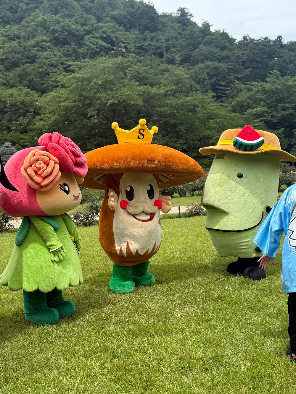 東沢バラ公園2026バラまつりにサッキーが参加してきました（6月27日