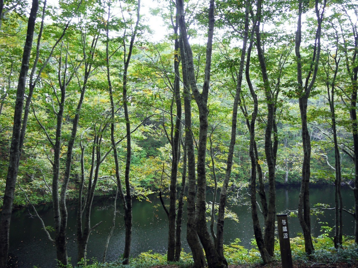 自然・感じる - 鮭川村観光協会 | 山形県最上郡鮭川村の観光情報