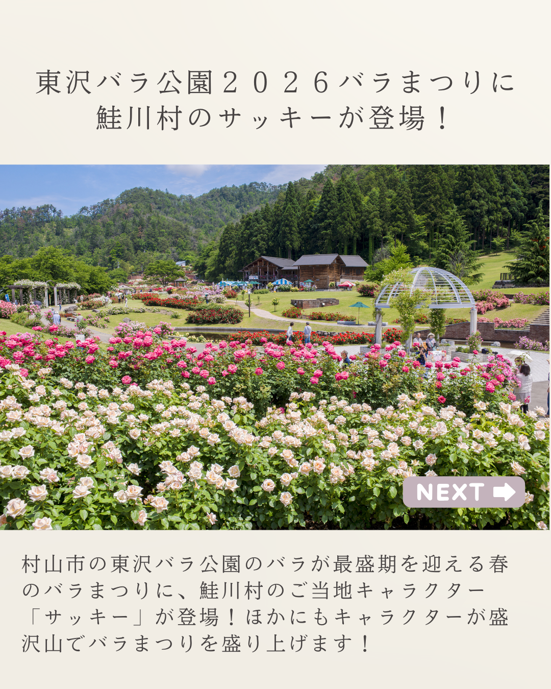 東沢バラ公園2026バラまつりにサッキーが登場（6月27日) - 鮭川村観光
