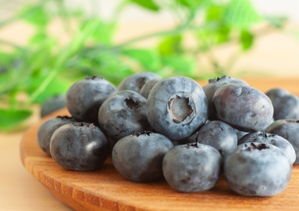 とみやブルーベリースイーツフェア2024 - NAKAO | うつわ、木炭焙煎