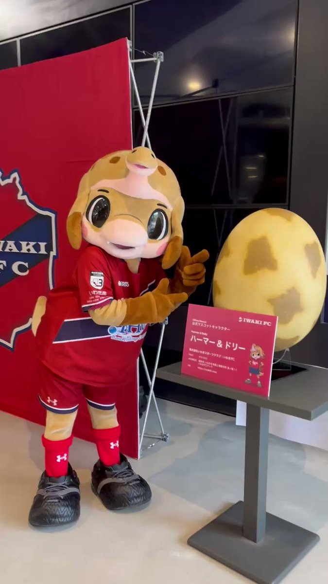 地元Jリーグチーム『いわきFC』快進撃！ - 共力株式会社