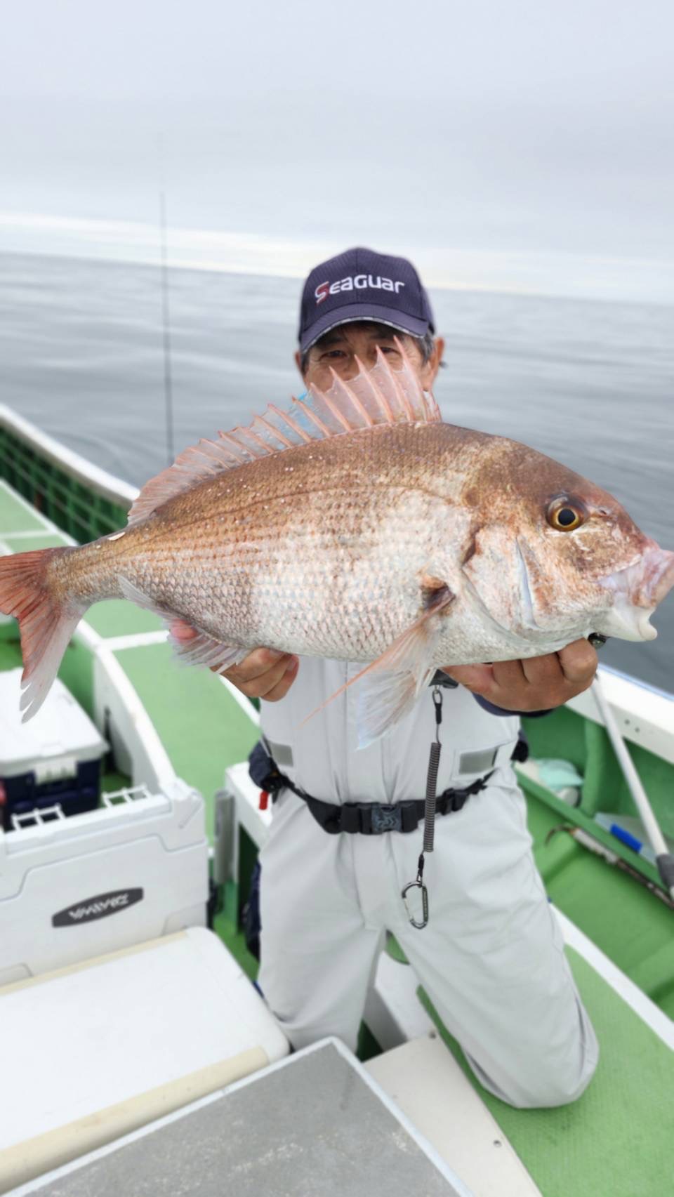 9月13日（日）真鯛船の釣果 - みなとや釣具店 |有限会社ディスカウント