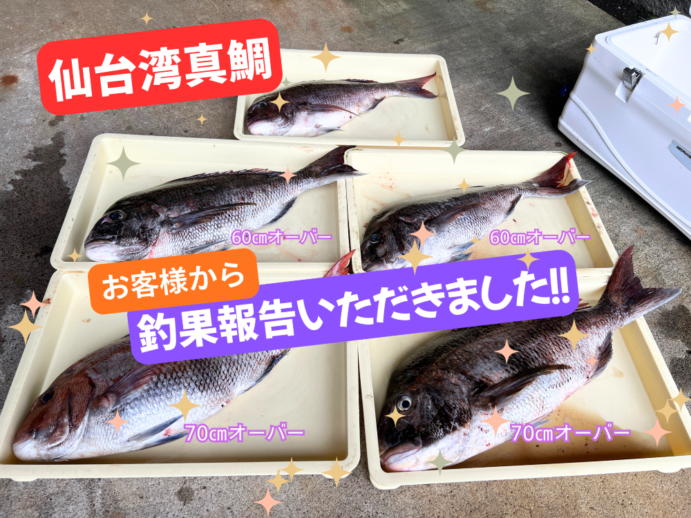 ショップニュース - みなとや釣具店 |有限会社ディスカウントみなとや