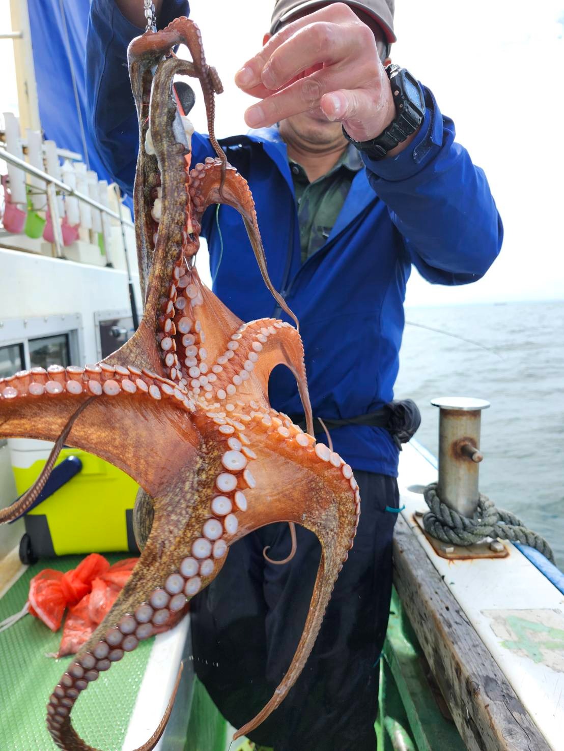 9月11日（木）タコ船 - みなとや釣具店 |有限会社ディスカウントみなとや