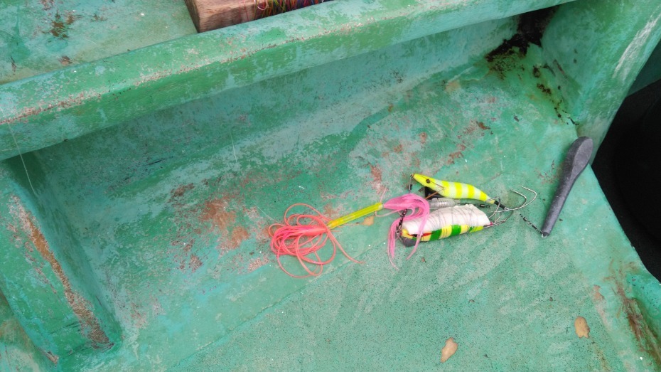 スタッフ釣行記 - みなとや釣具店 |有限会社ディスカウントみなとや