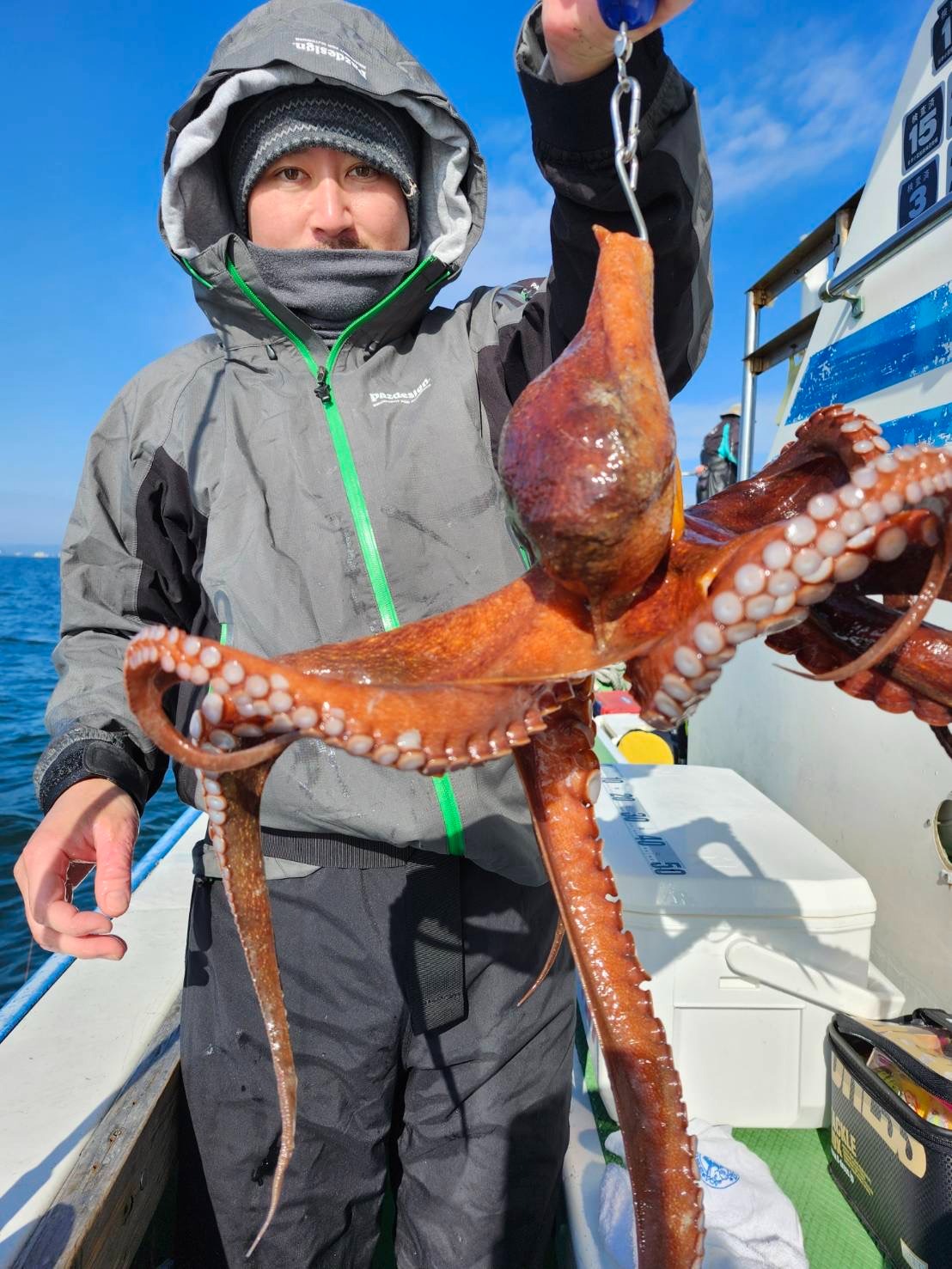 f8beb6b7dba6e897e9a690b3d891b0