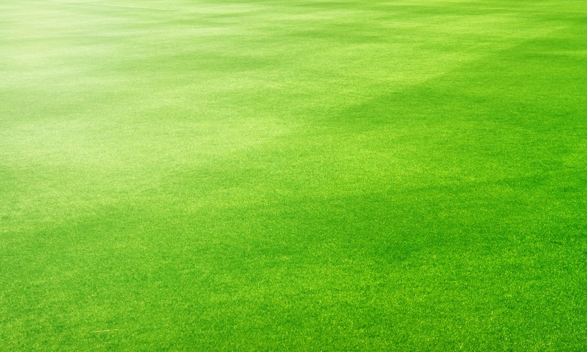 コンセプト Prospect Field（プロスペクトフィールド） 宮城県 仙台市 荒浜 全天候対応型スポーツ施設