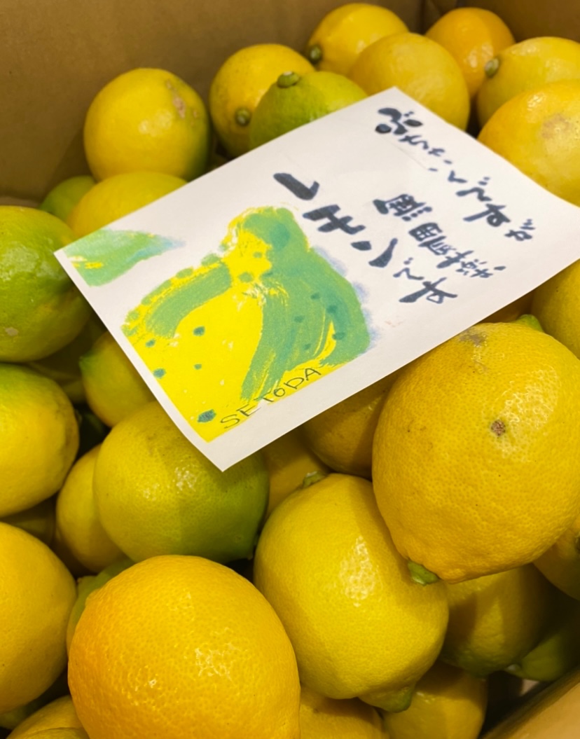 交換無料 【採れたて】無農薬レモングラス 無農薬栽培 14kg｜生 苗 茎 3本 新鮮 www.astrons.jp