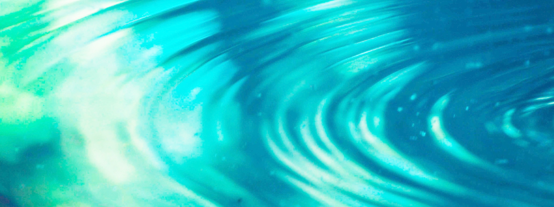 対話集会のご案内 - 特定非営利活動法人ニューマン理論・研究・実践研究会