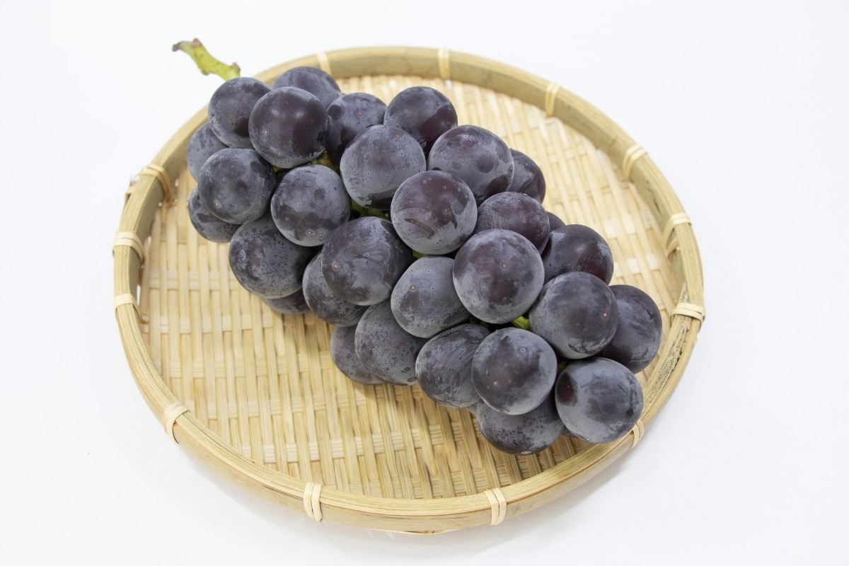 橋本農園のあづましずく - 橋本農園｜郡山市｜ぶどう狩り・あづま