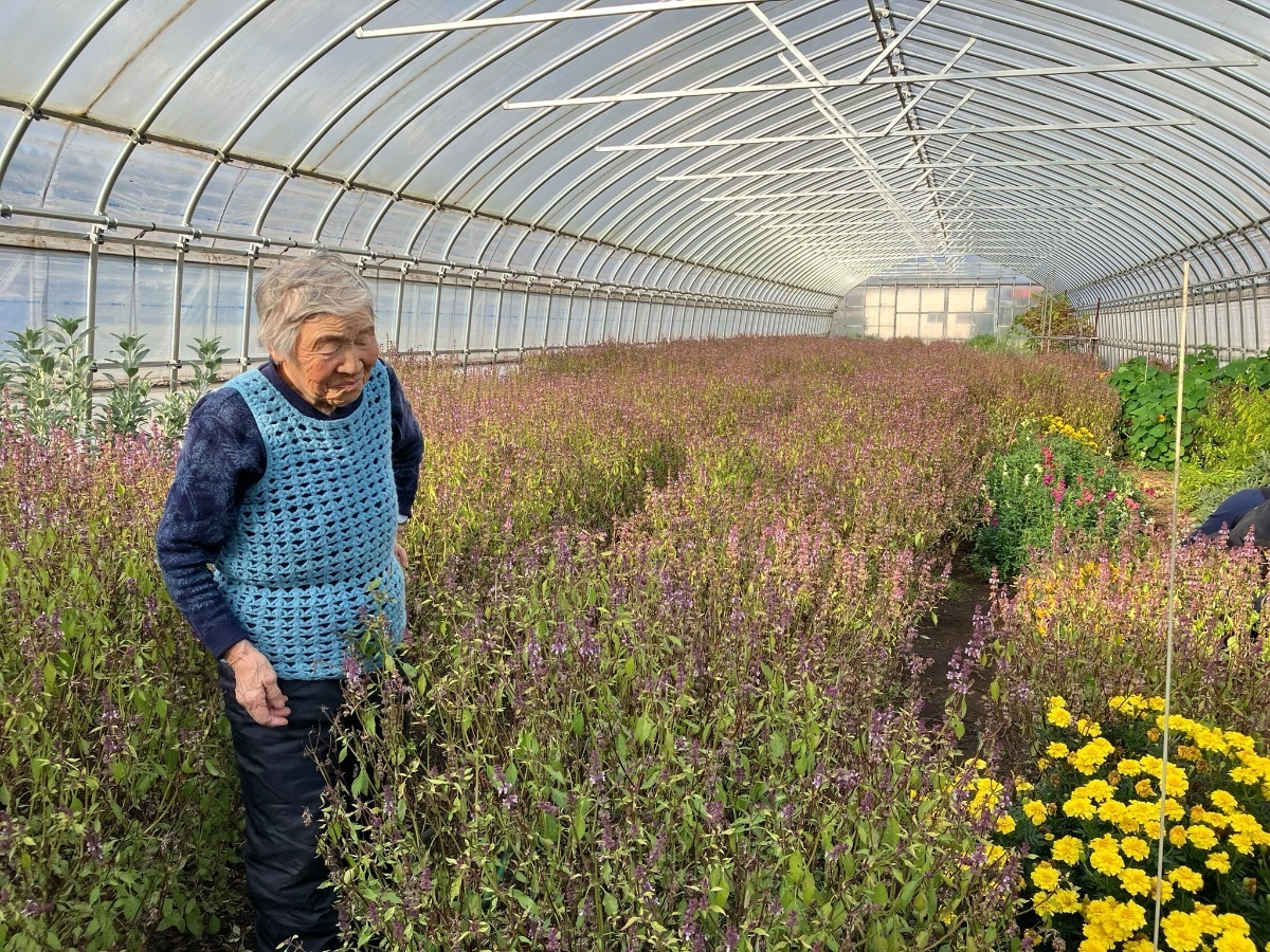 公開しました】お客様の声 ビニールハウスで無農薬ハーブ・野菜を栽培