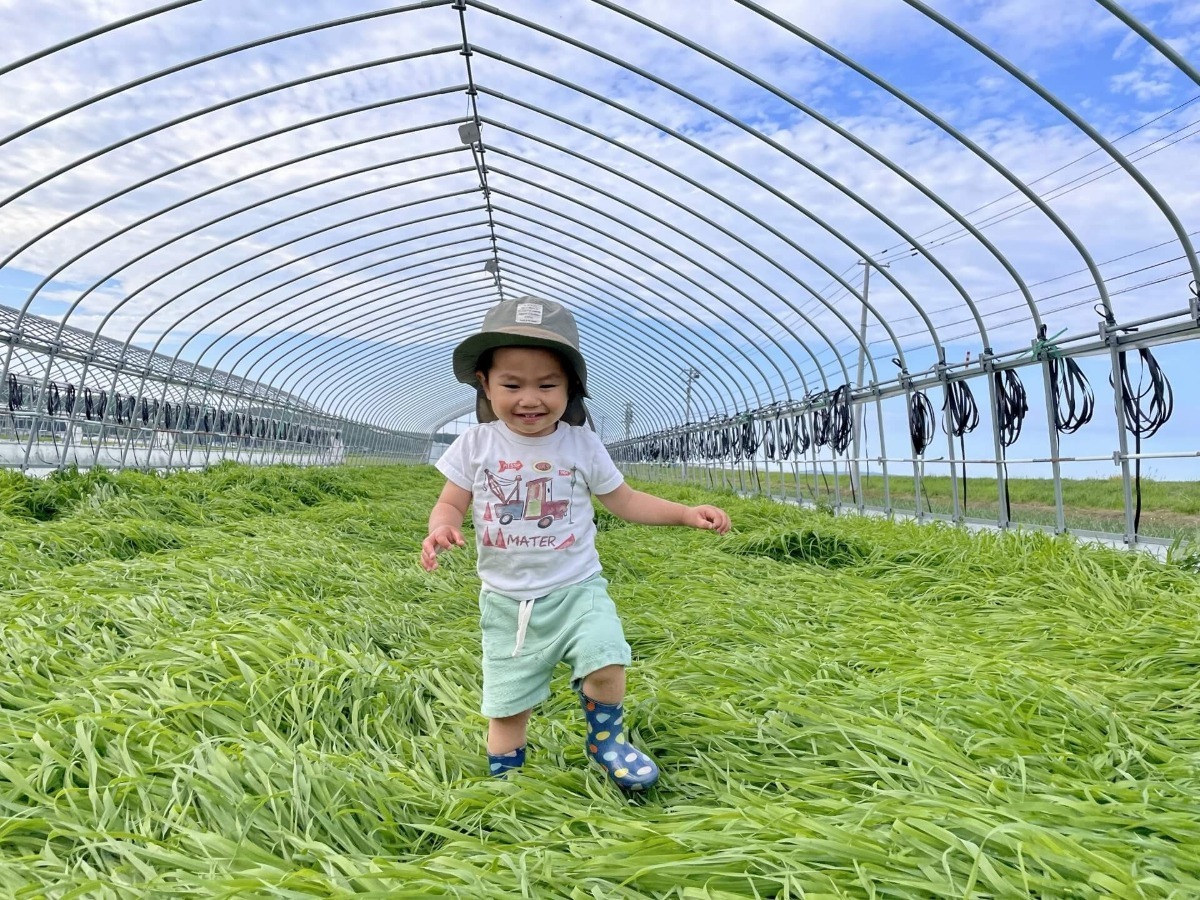 竹ケ原興業とは - 竹ケ原興業株式会社｜青森県十和田市｜パイプハウス