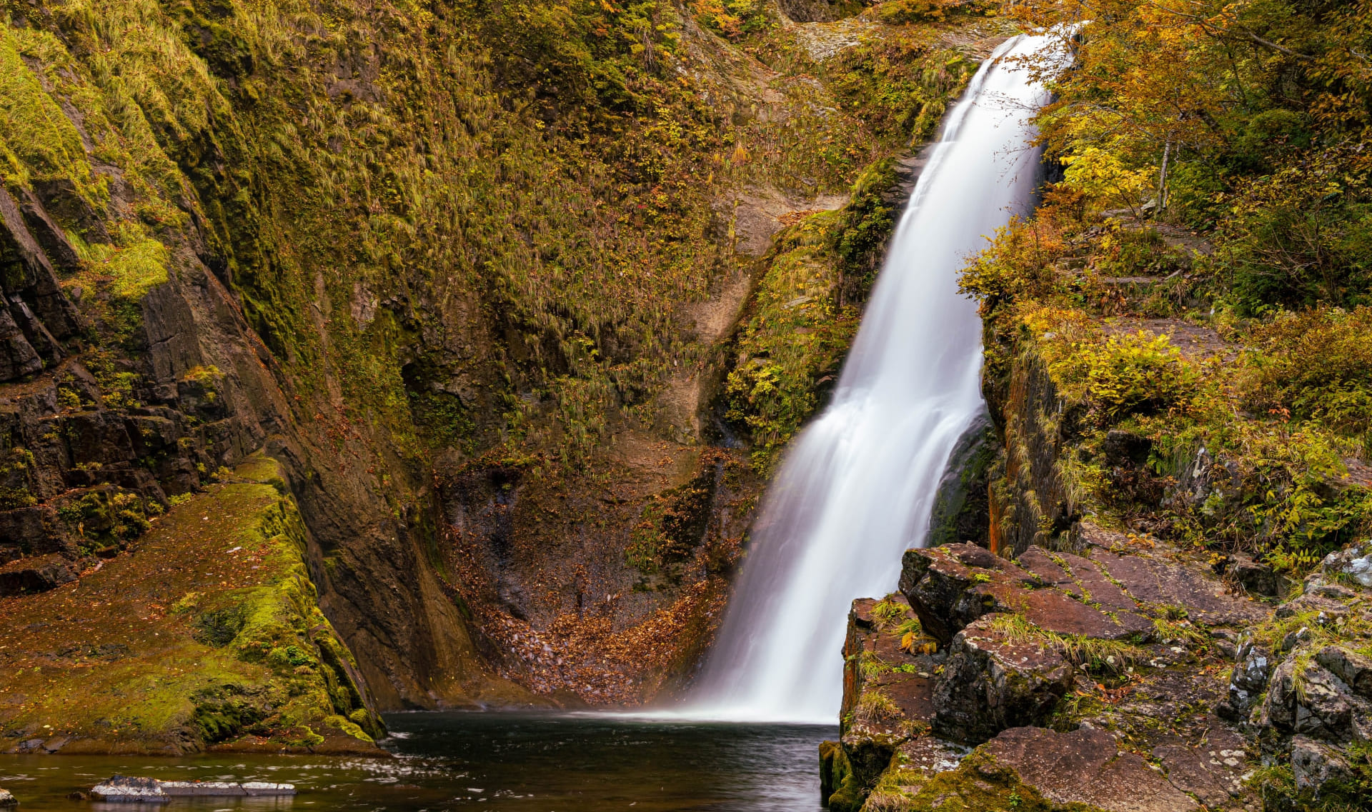 小石湖商店 小石商店 - 岩手県大槌町 シーサイドタウンマスト